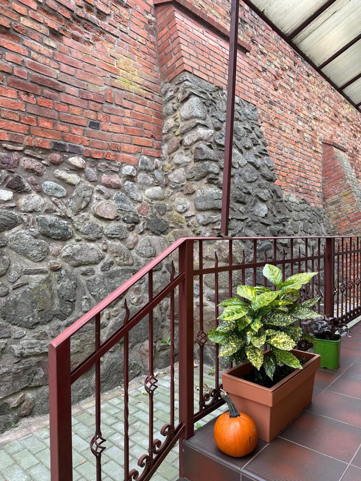 Apartament Bena Ze Zjawiskowym Tarasem Widokowym Хелмно Экстерьер фото